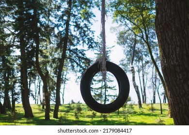 Old car tire hanging on tree at playground. Childhood concept
