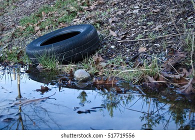Old Car Tire Lying Next To A Puddle