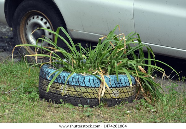 \
Old\
car tires have long been used in Ukrainian traditional culture. Art\
deco for the ghetto.Painted car tires in the role of flower pots.\
Depressive district. August 4, 2019.\
Kiev,Ukraine