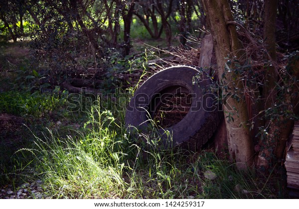 Old car\
tires wasted in nature. Used damaged\
tire.