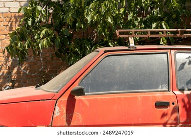 Old car under the tree