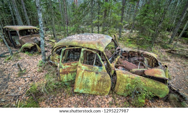 Old cars abandoned in the\
forest