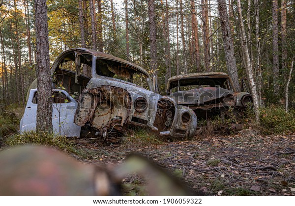 Old cars in the wild nature of Sweden at the car\
cemetery Kyrkö Mosse