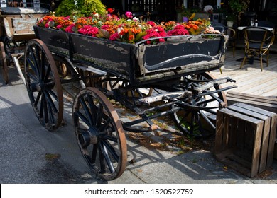  Old Cart With Flowers, Bornholm, Dueodde