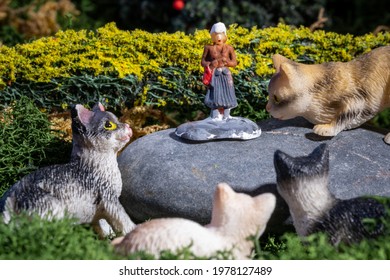 Old Cat Lady Trope With Miniature Figurines Using Macro Photography