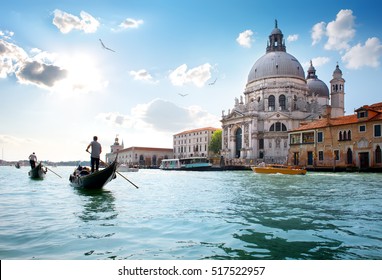 Old cathedral of Santa Maria della Salute in Venice, Italy - Shutterstock ID 517522957