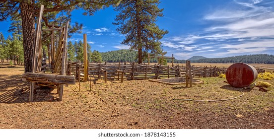 An Old Cattle Corral Near Barney Tank South Of Williams Arizona. Located On Public Land In The Kaibab National Forest. No Property Release Needed.