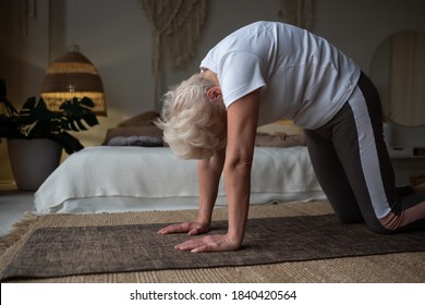 Old caucasian woman on mat doing cat stretch posture for spine.