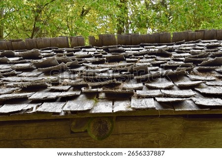 Old Cedar Shingles on a Rooftop