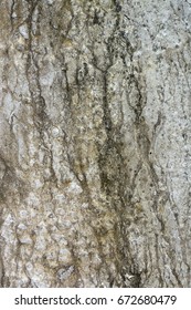 Old cement walltexture and background