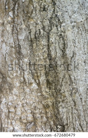 Old cement walltexture and background