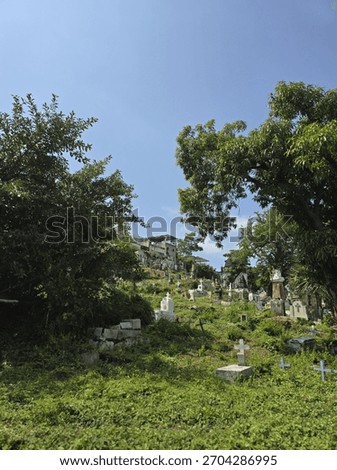 Old cementery between some tree