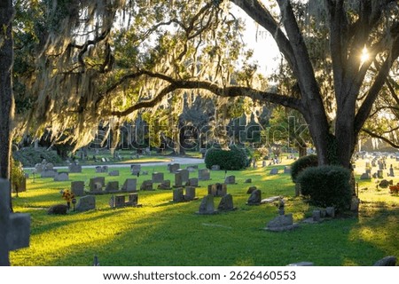 Old cemetery with grave stones under oak trees on green grass lawn in Orlando, Florida. Concept of death