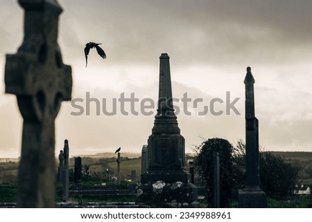 Old Cemetery in Ireland with Celtic Cross Gravestones and Birds flying