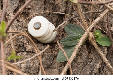 Porcelain Electric Fence Insulator Images Stock Photos Vectors Shutterstock