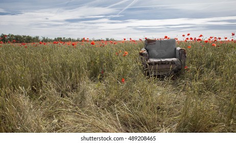 old chair in a field