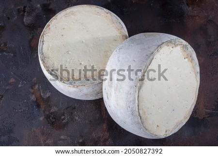 Old cheddar cheese. Wheel aged cheese. Aged cheddar cheese wheel on dark wooden floor.