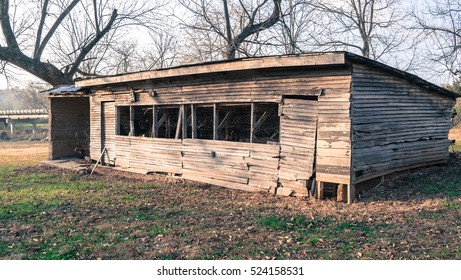 Old Chicken Coop