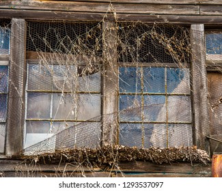 Antique Chicken Coop Images Stock Photos Vectors Shutterstock