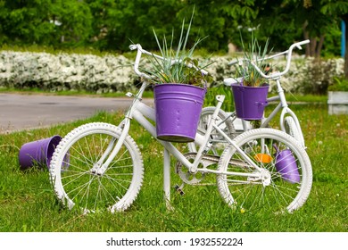 Old Children's Bicycles Are Painted White And Used In The Street Flowerbed As A Flower Pot Holder. Reuse Of Things, The Second Life Of A Bicycle.