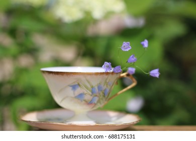 Old china cup with saucer, pattern "blue bells", fresh flowers on garden background, daylight - Powered by Shutterstock