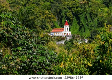 Old church with red roofs and bell tower in the tropical rain forest of Martinique island (France, Lesser Antilles).  Idyllic small mountain village “Fonds-Saint-Denis“ in french overseas departement.