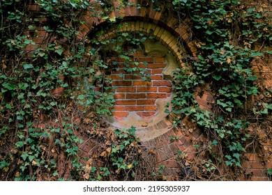 Old Church Wall Overgrown With Ivy