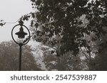 Old city streetlamp surrounded by fog and tree branches