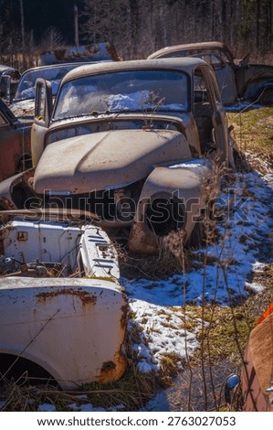 Old classic car with missing elements and rusted body standing in open yard surrounded by nature.
