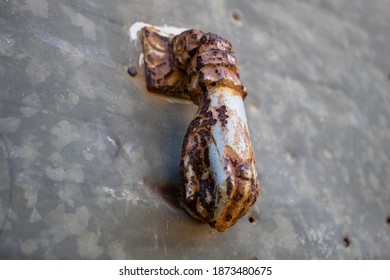 Old Classic And Rusty Door Knocker Composed By A Human Hand Hanging A Ball