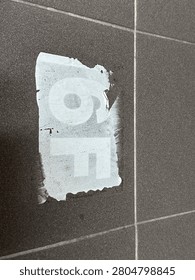 the old and cloudy sixth floor