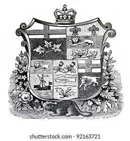 The old coat of arms of Canada. Engraving by Alwin Zschiesche published on "Illustrierts Briefmarken Album", Leipzig, Germany, 1885.