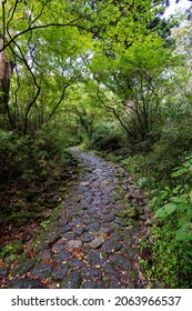 Old Cobblestone Road In The Forest.