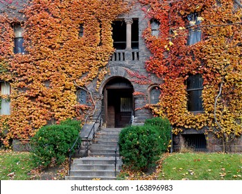 Old College Building With Fall Ivy