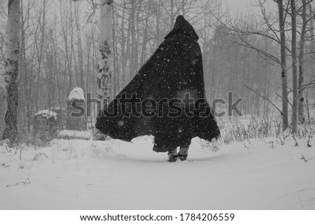 Image, Stock Photo At the lake Lake Ice