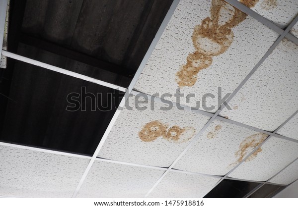 Old Concrete Roof Suspended Ceiling Stained Stock Photo