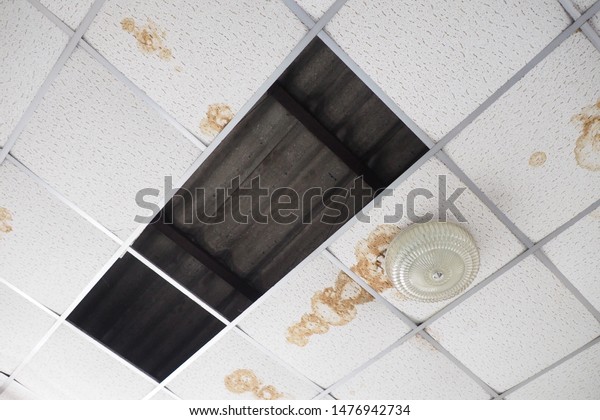 Old Concrete Roof Suspended Ceiling Stained Royalty Free