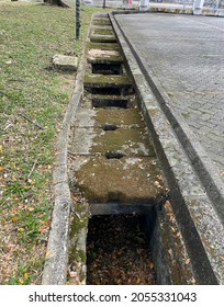 Old Concrete Storm Drain Covers Covered With Moss. Some Part Of The Drain Is Without Covers