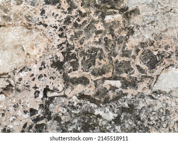 Old Concrete Wall With Black Mold Texture Background.