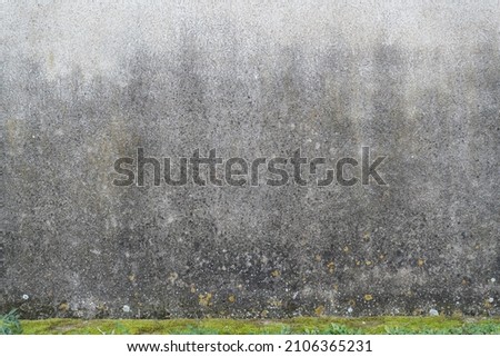 Old concrete wall with dampness and mold with weeds on the bottom