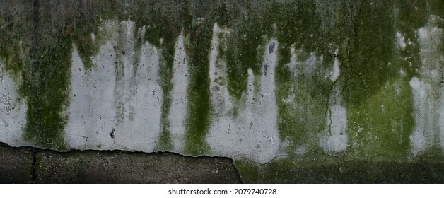 Old concrete wall with water drips and traces with moss texture Perfect for background - Powered by Shutterstock