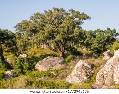 Similar – Image, Stock Photo Andalusian landscape