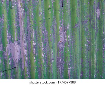 old corrugated metal panel painted green