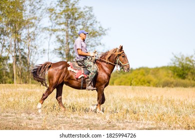 1,203 Cossack horse riding Stock Photos, Images & Photography ...