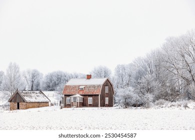 Old cottage with a shed in a wintry rural landscape - Powered by Shutterstock