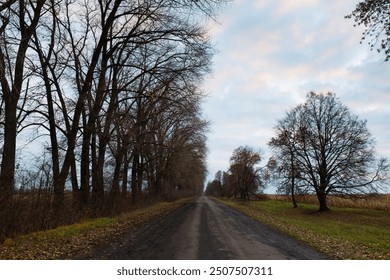 An old country road and gloomy bare trees along it against the background of a beautiful dawn - Powered by Shutterstock