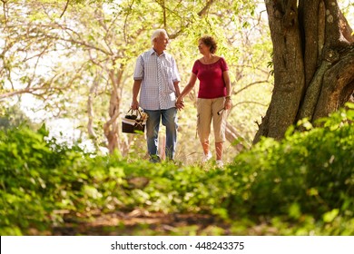Old couple, elderly man and woman in park. Active retired seniors holding hands and walking in park with a picnic basket
