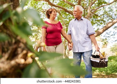 Old couple, elderly man and woman in park. Active retired seniors holding hands and walking in park with a picnic basket