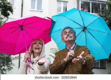 The old couple in the rain with umbrellas  - Powered by Shutterstock