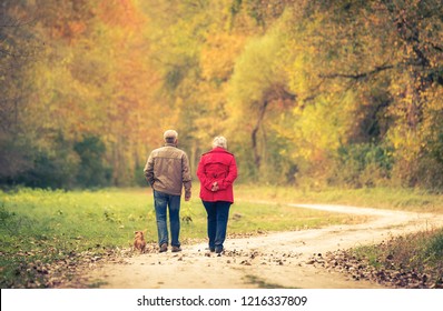 Old Couple Walking In The Autumn Forest. 